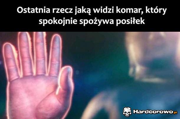 Posiłek - 1
