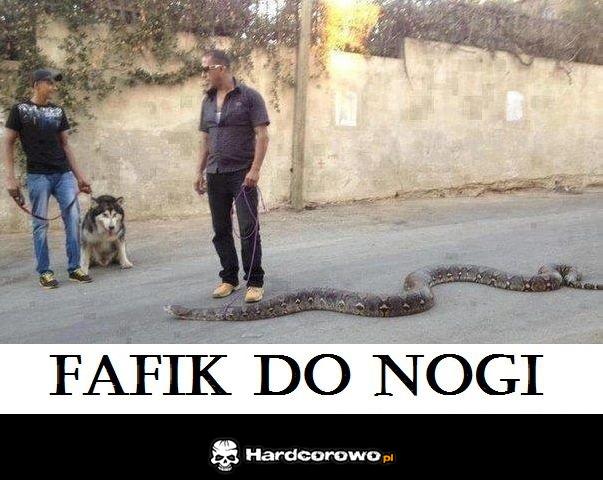 Fafik do nogi - 1
