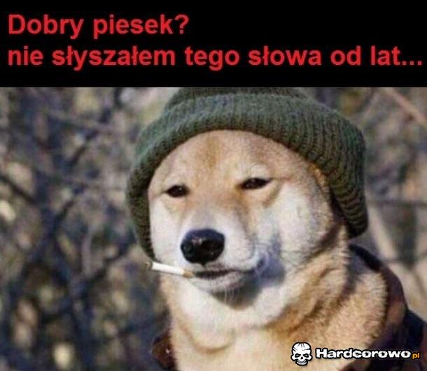 Dobry piesek - 1