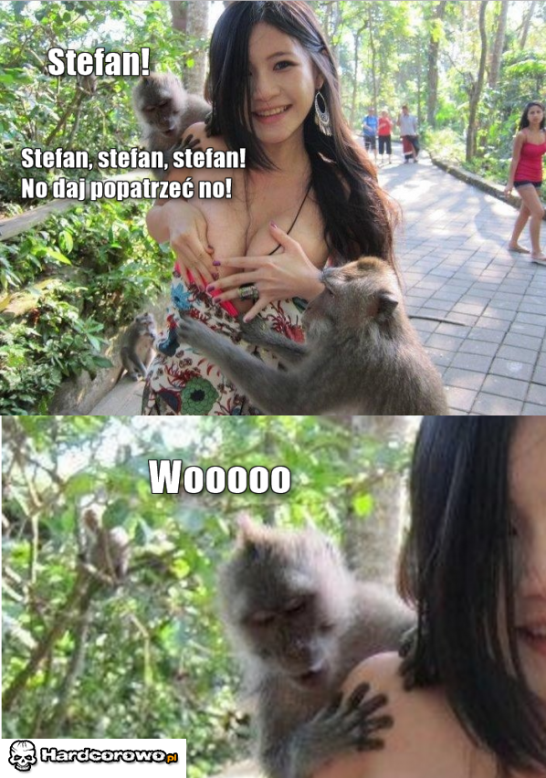 Stefan  - 1