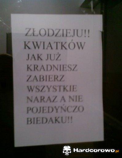 Porada dla złodzieja kwiatków - 1