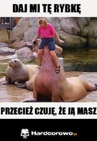 Daj mi tę rybkę - 1