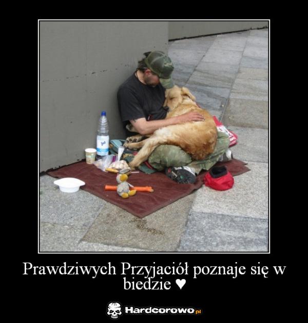 Prawdziwych przyjaciół - 1