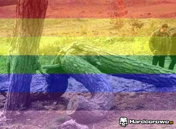 Homo drzewa - 1