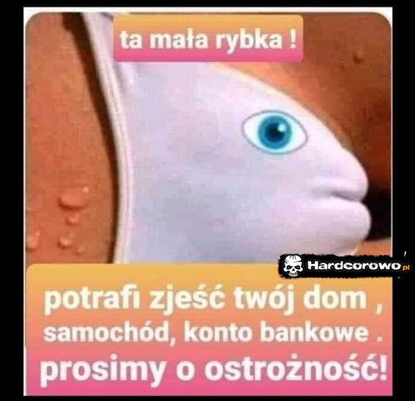  - 1