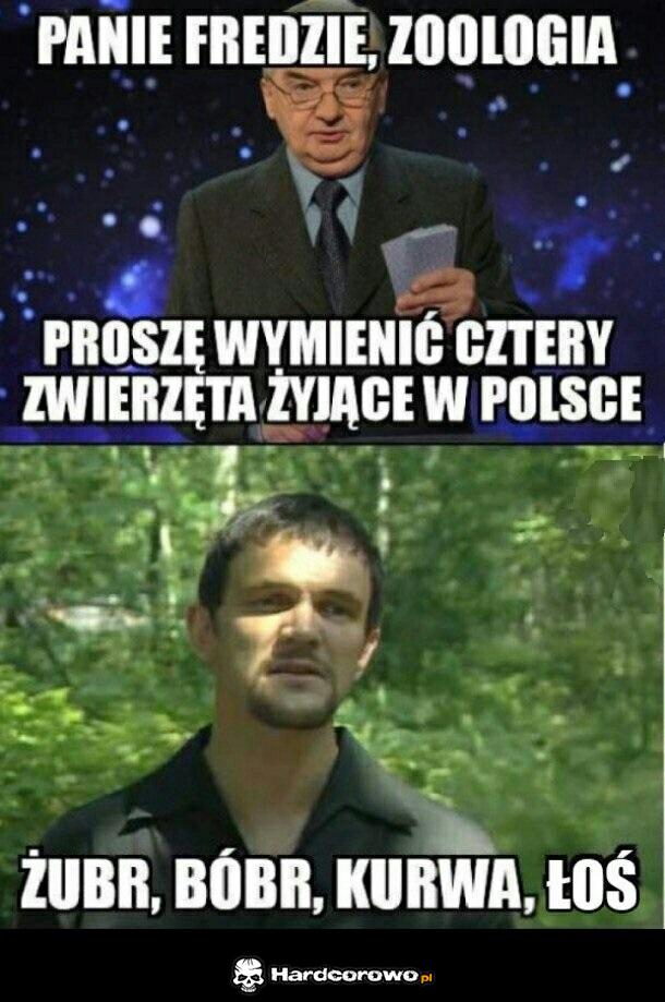 Jeden z dziesięciu - 1