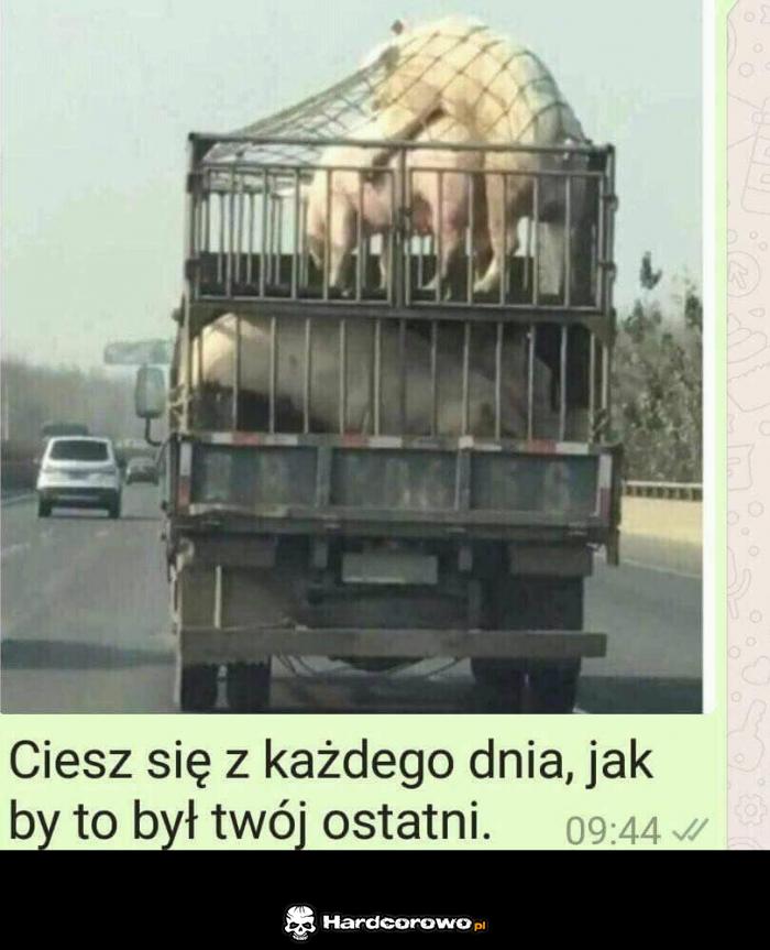 Otóż to! - 1