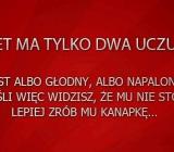 Facet ma tylko dwa uczucia