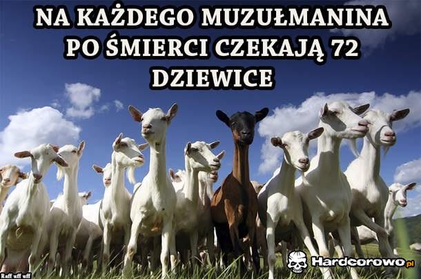 Na każdego muzłumanina... - 1