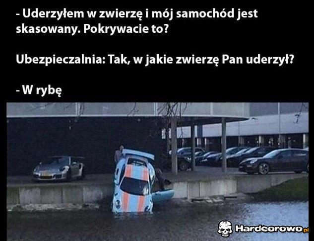 Ubezpieczenie - 1
