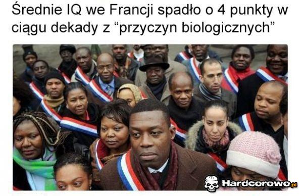 Średnie IQ - 1