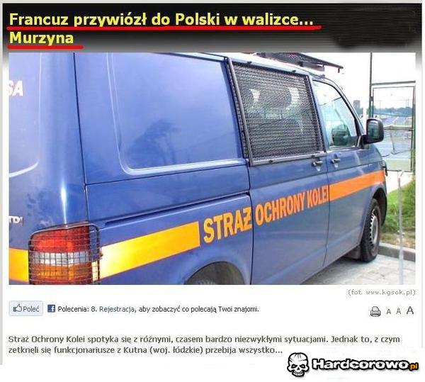 Francuz przywiózł do Polski w walizce... - 1