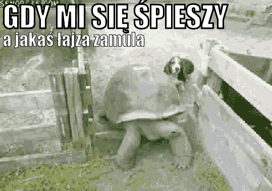 Gdy mi się śpieszy - 1