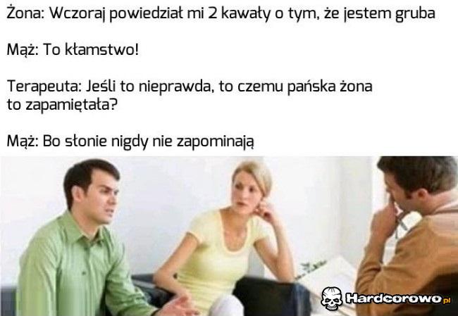 Słonie nigdy nie zapominają - 1