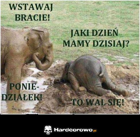 Poniedziałek  - 1