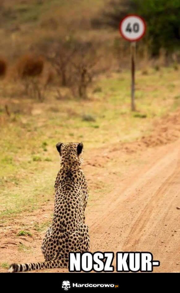 Zawracanie dupy! - 1