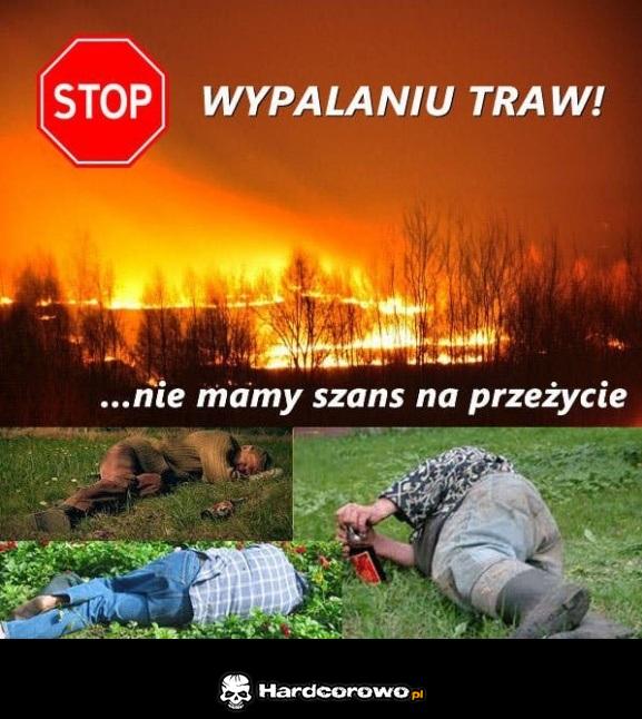 Stop wypalaniu traw - 1