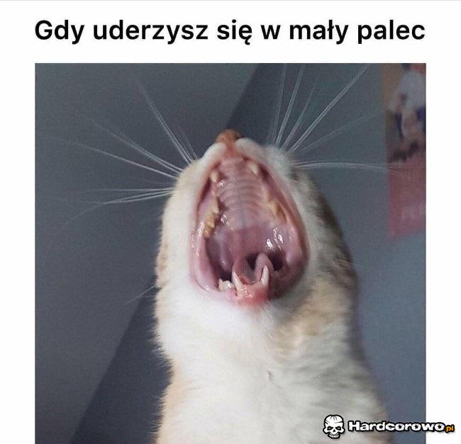 Gdy uderzysz się w mały palec - 1
