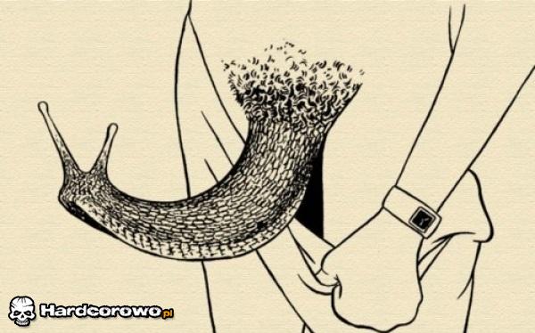 Poznaj mojego przyjaciela - 1