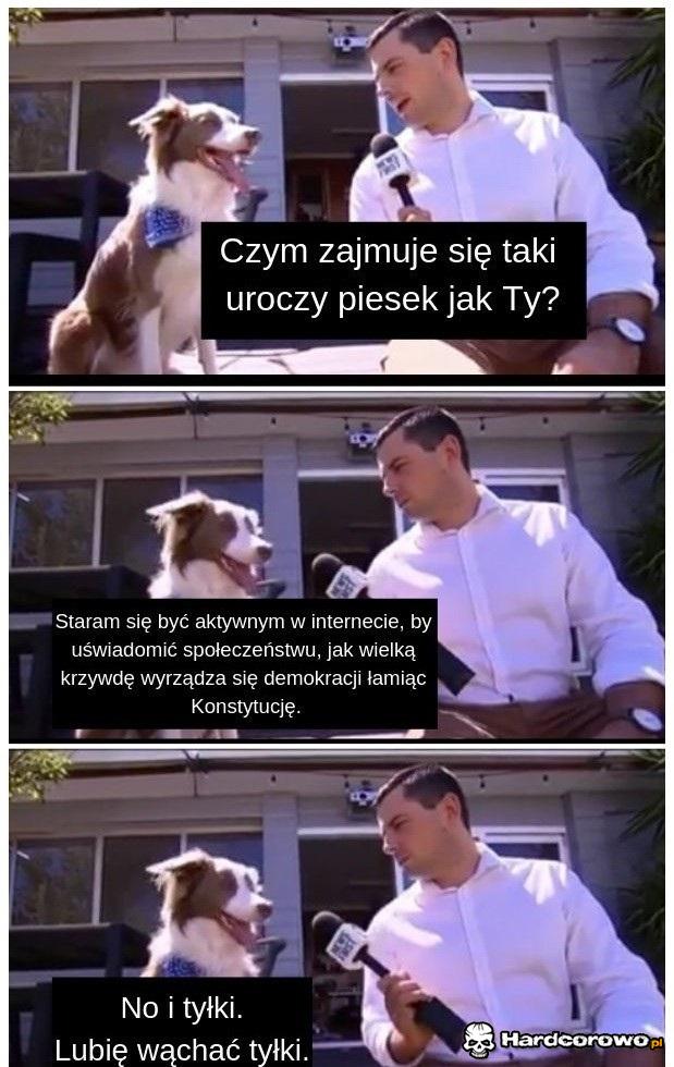 Priorytety - 1