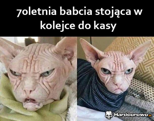 Zawsze tak wyglądają - 1