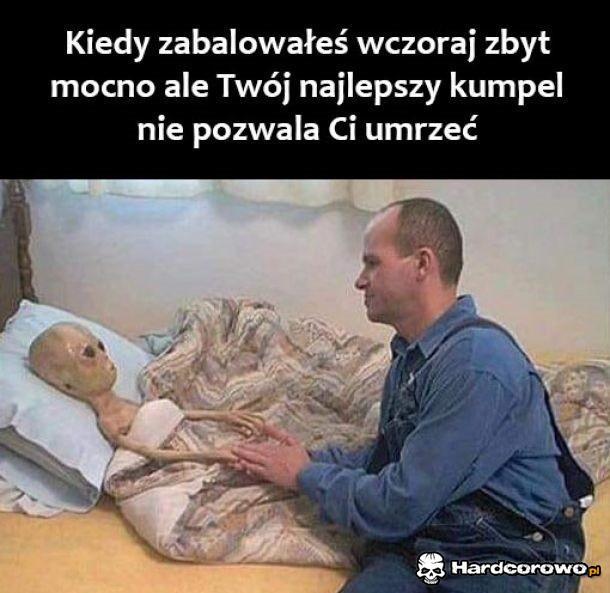 Kiedy zabalowałeś wczoraj zbyt mocno - 1