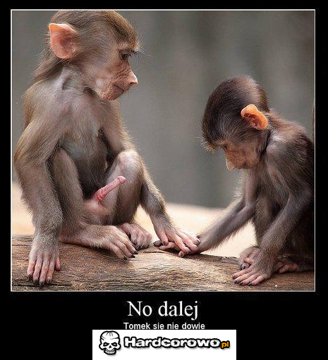 No dalej - 1