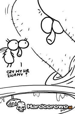 Czy my się znamy? - 1