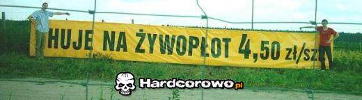 Huje na żywopłot - 1