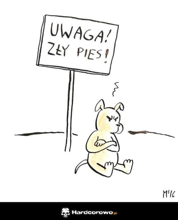 Zły pies - 1