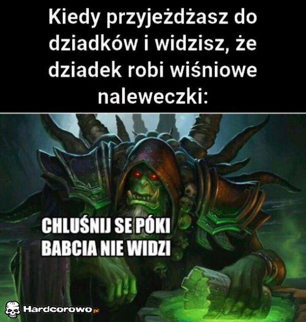 Wizyta u dziadków - 1