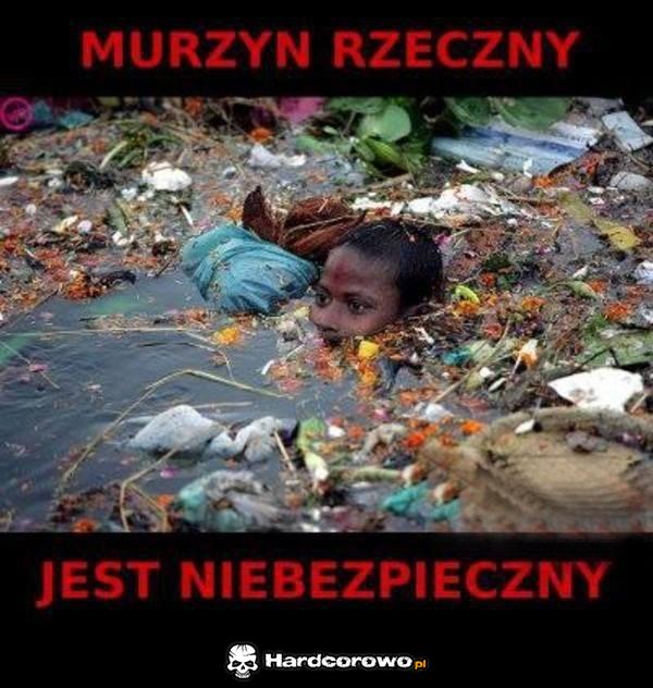 Murzyn rzeczny - 1