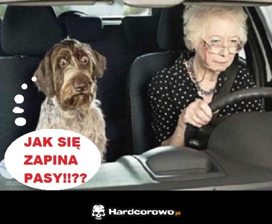 Babcia za kierownicą - 1