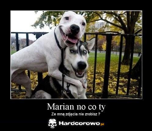 Marian - 1