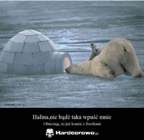 Halina nie bądź taka - 1