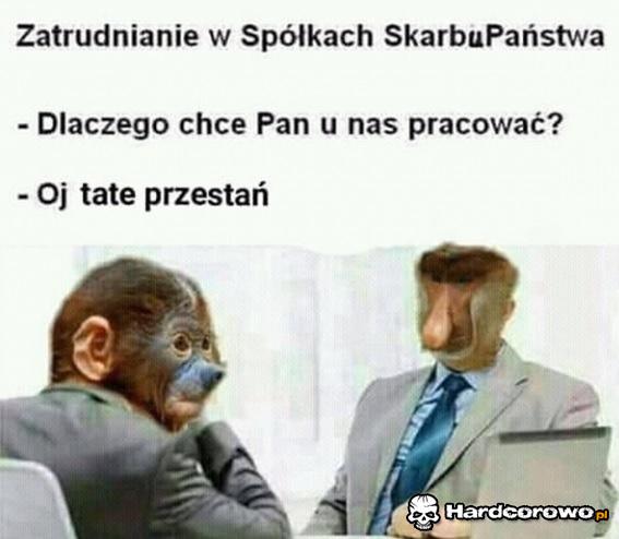 Rozmowa w spółce skarbu państwa - 1