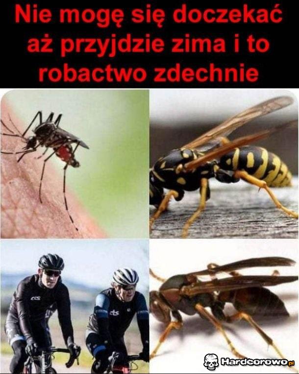 Czekam cierpliwie - 1