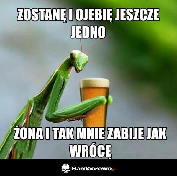 Piwo - 1