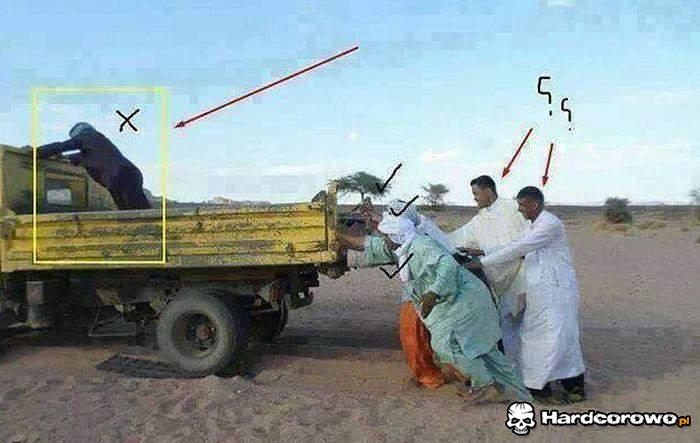 Inteligent czy cwaniak? - 1