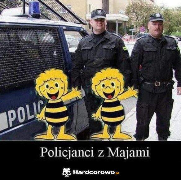 Policjanci z majami - 1