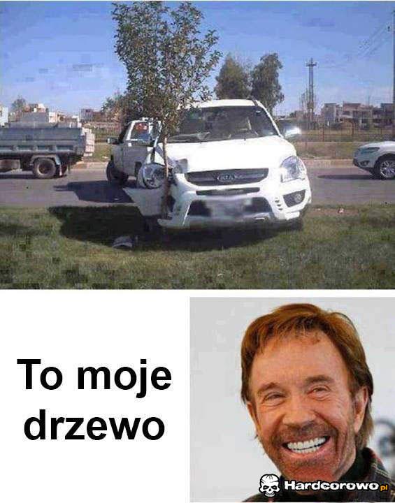 Drzewo Norrisa - 1