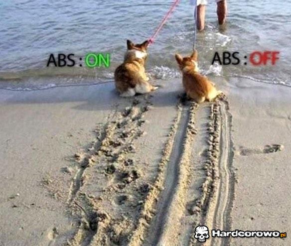 ABS - 1