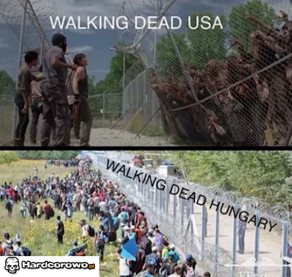 Walking dead USA - 1