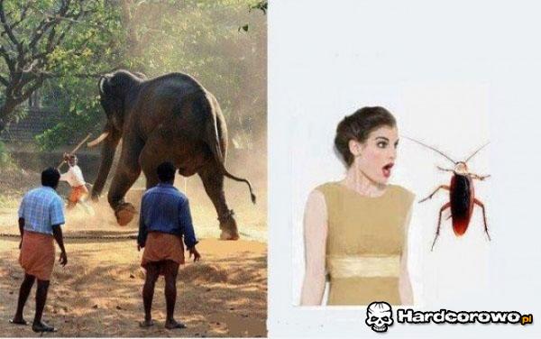 Różnica między facetami i dziewczynami - 1