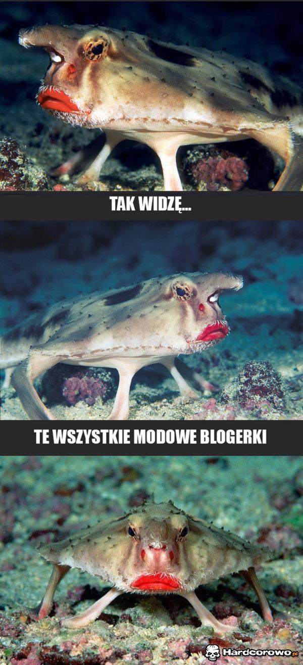 Blogereczki - 1