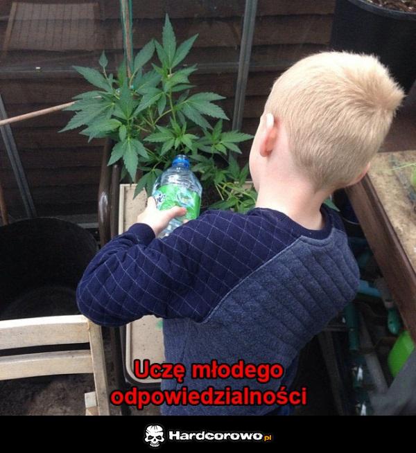 Odpowiedzialność - 1