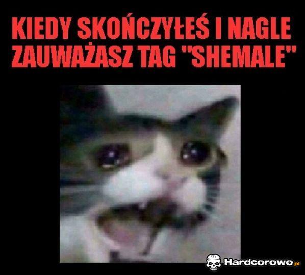 Kiedy skończyłeś  - 1