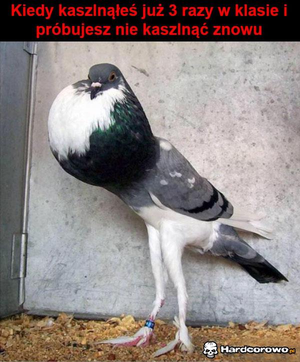 Nie kaszlę - 1
