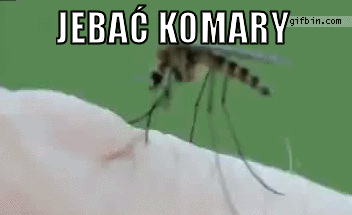 Jebać komary! - 1
