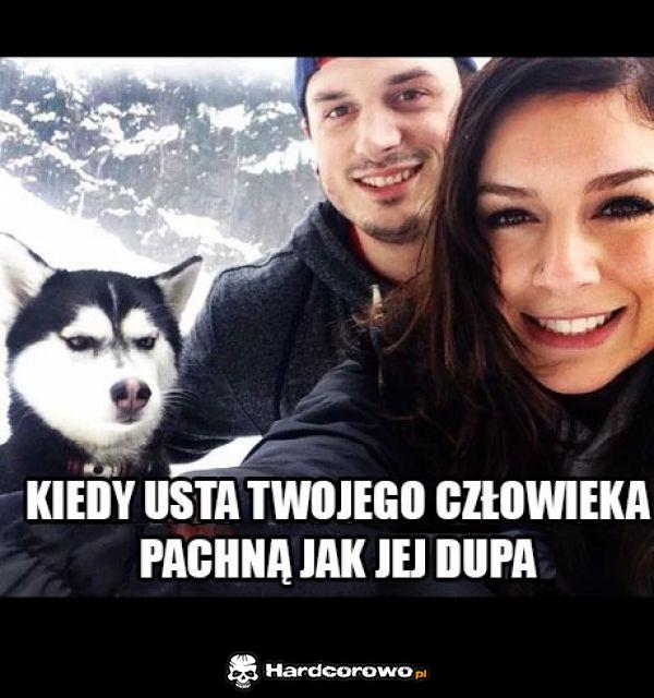 Coś tu jest nie tak - 1